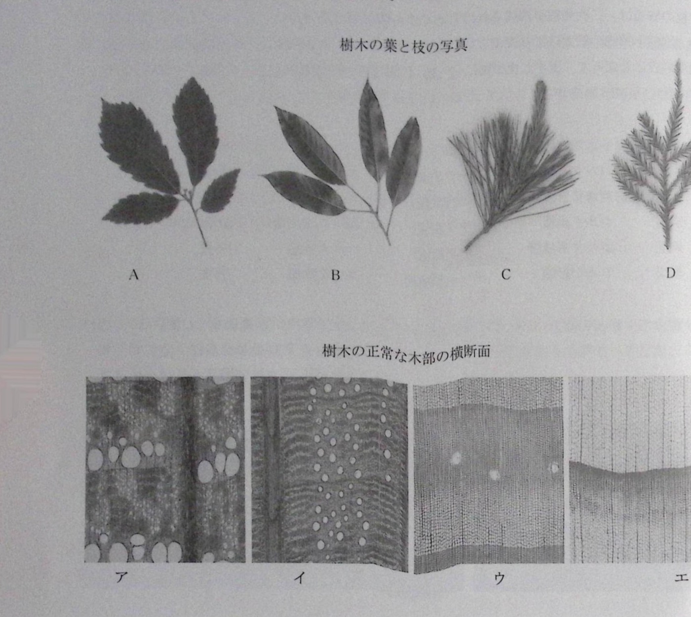 R1-Q20の原本設問図版