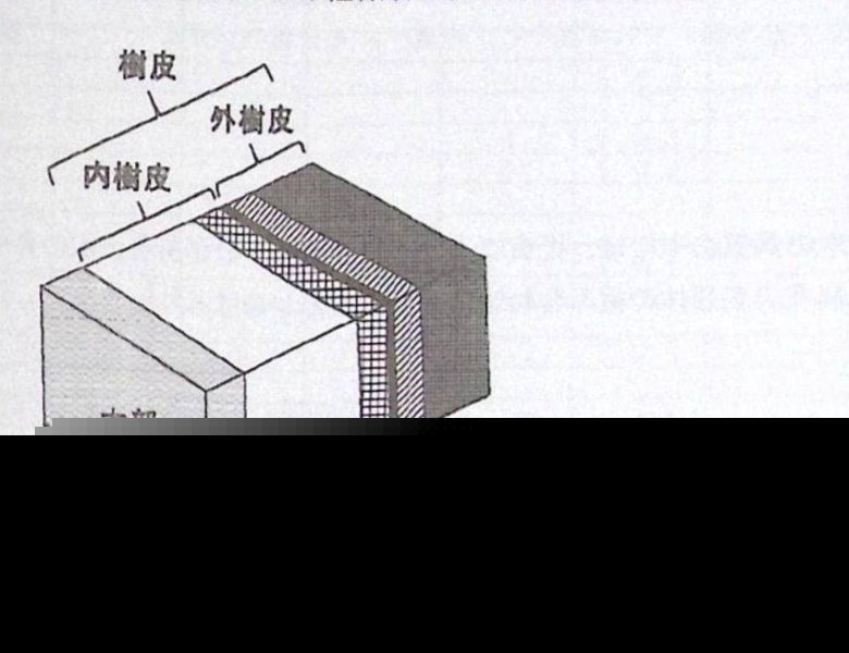 R3-Q22の原本設問図版